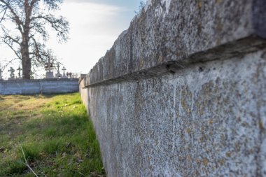 Güneşli bir günde ağaçla birlikte çimlerin üzerinde eski, taştan bir duvar çitinin yakın çekimi.