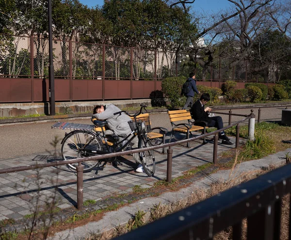 上野公園の自転車の近くのベンチで昼寝をしている男 — ストック写真