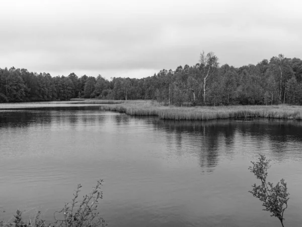 Vue Panoramique Lac Calme Entouré Une Forêt Aux Couleurs Noir — Photo