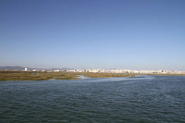 Een Prachtig Uitzicht Een Strand Met Heuvels Een Groen Veld — Stockfoto