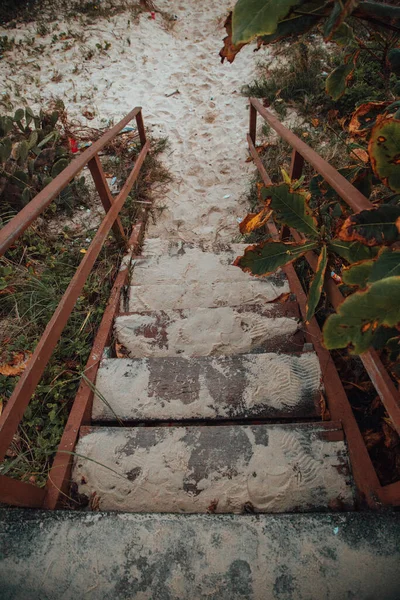 Plan Vertical Escaliers Dans Jardin Couvert Sable — Photo