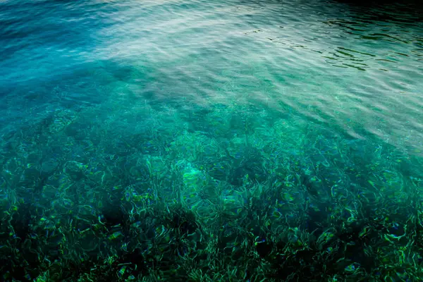 Крупним Планом Красиве Чисте Море Кораловим Рифом Показаним Під Водою — стокове фото