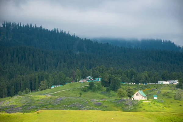 Όμορφο Ορεινό Τοπίο Του Gulmarg Jammu Και Κασμίρ Μέλος Ινδία — Φωτογραφία Αρχείου