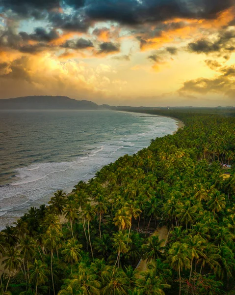 Pemandangan Udara Dari Garis Pantai Tertutup Vegetasi Hijau — Stok Foto