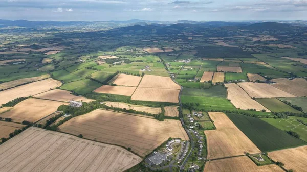 緑と茶色の平らな農地の空中ショット — ストック写真