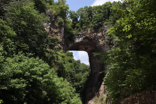 Une Vue Panoramique Une Arche Naturelle Couverte Verdure Natural Bridge — Photo