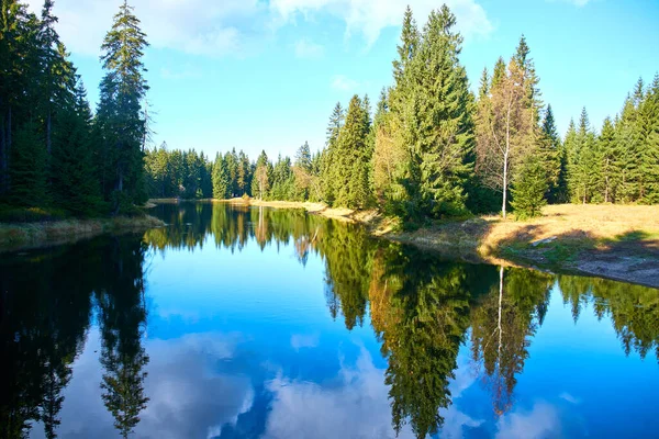 물위를 반사하는 아름다운 호수와 나무들 과푸른 구름낀 하늘의 — 스톡 사진