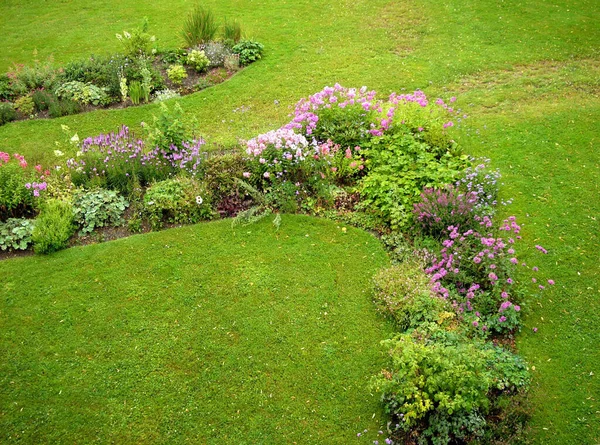 Tiro Ângulo Alto Uma Paisagem Com Grama Verde Flores Projetadas — Fotografia de Stock