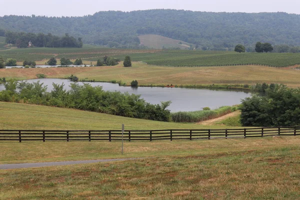 Paesaggio Panoramico Una Campagna Con Vigneti Vicino Monticello Virginia Usa — Foto Stock