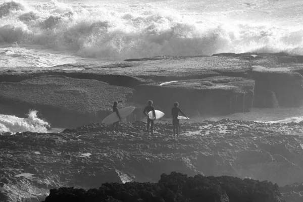Mořská Vydra Plovoucí Vodě Aljašce — Stock fotografie