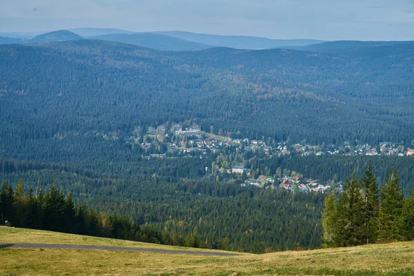 Piękny Widok Wiejski Krajobraz Drzewami Polami Lawendowymi Hvar Chorwacja — Zdjęcie stockowe