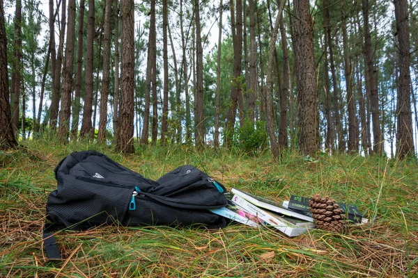 Czarny Plecak Lesie Borowikami Sosną — Zdjęcie stockowe