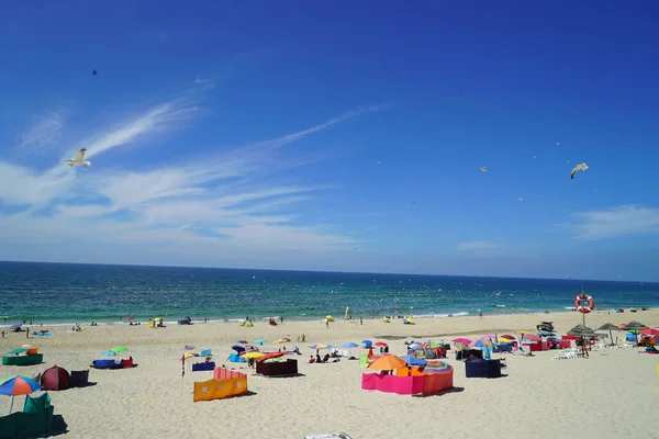 Een Groep Mensen Die Zich Vermaken Het Strand Een Zonnige — Stockfoto