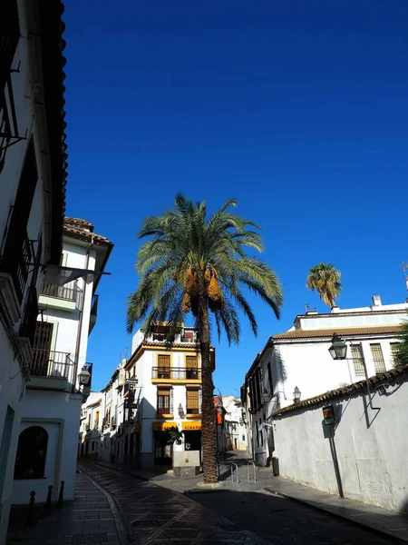 西班牙科尔多瓦古城一个阳光明媚的广场 — 图库照片