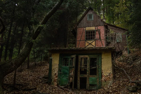 Uma Velha Casa Abandonada Uma Floresta — Fotografia de Stock