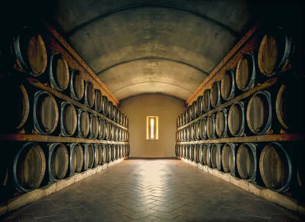 冬の列のワインの樽の眺め — ストック写真