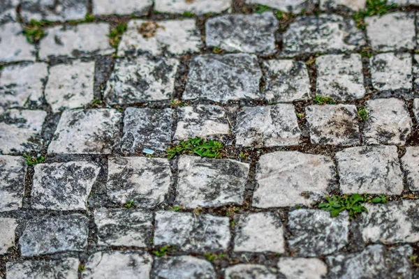 Piso Piedra Pila Baldosas Con Hierba Verde Planta Como Textura —  Fotos de Stock