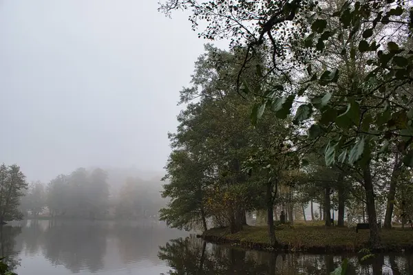 Piękne Ujęcie Jeziora Mglisty Dzień — Zdjęcie stockowe