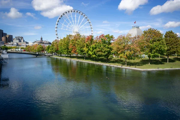 Vacker Utsikt Över Pariserhjulet Omgiven Grönska Trädgården Vid Sjö Kanada — Stockfoto