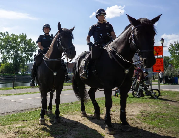 Офицеры Полиции Старого Порта Лошадях Монреале Канада — стоковое фото