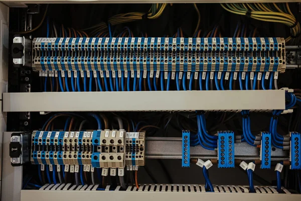 A closeup shot of organized blue wiring in an IT room