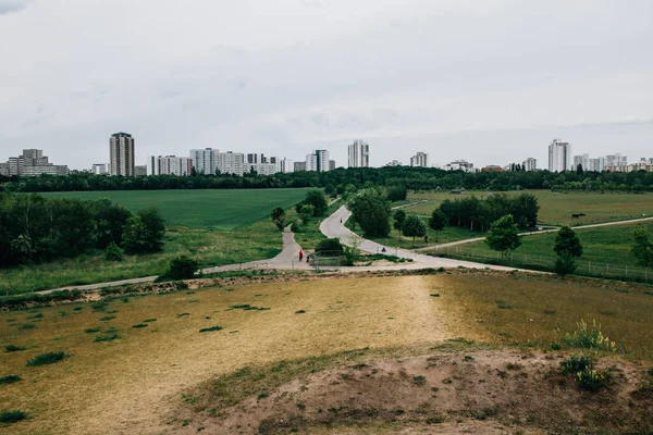 Une Vue Panoramique Bâtiments Modernes Dans Une Ville Entourée Prairies — Photo