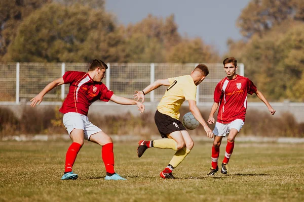 Fotbollsmatch Jedinstvo Brcko Bosnien Och Hercegovina — Stockfoto