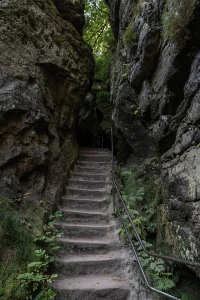 Die Steintreppe Zwischen Riesigen Felsen Wald — Stockfoto