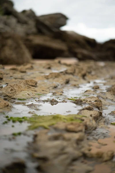 Селективный Фокус Мокрой Земли После Дождя — стоковое фото