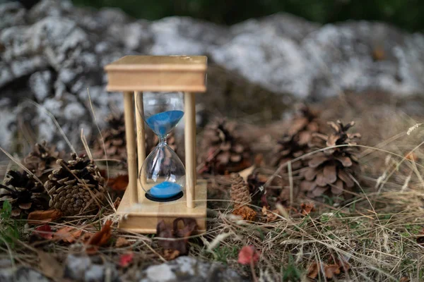 Närbild Bild Ett Timglas Med Kottar Vintern — Stockfoto