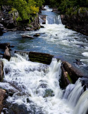 Tepe ormanlarından geçen küçük şelaleli bir nehrin manzaralı bir görüntüsü.