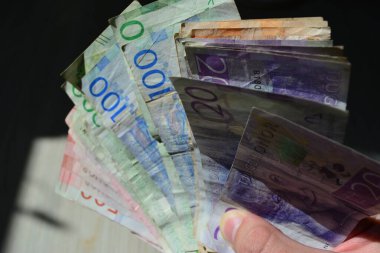 Bir avuç dolusu İsveç faturası, Svenska Kronor (SEK).