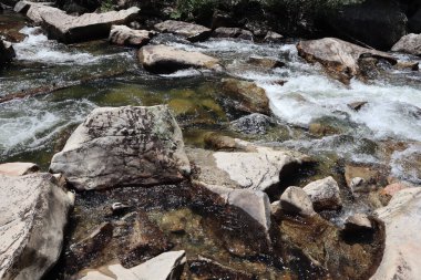 Tennesee, ABD 'de kayaların arasından akan güzel bir nehir manzarası.