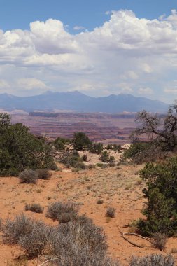 Arka planda kanyonlar olan kurak bir karanın dikey görüntüsü