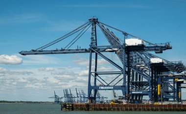 Felixstowe Limanı 'ndaki Turnalar