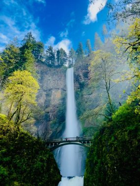 Yeşil ağaçlarla kaplı kayalardan akan şelaleye karşı bir köprünün dikey görüntüsü.