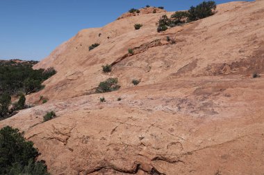 Utah, ABD 'deki Ulusal Park' taki Kızıl Kaya manzarasının doğal bir görüntüsü.