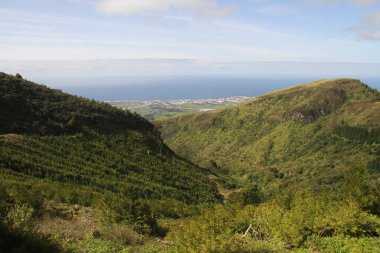 Güzel bir doğa manzarası.
