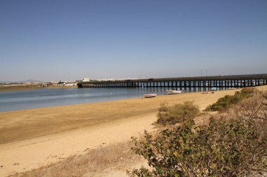 Mavi gökyüzünün altında güzel bir sahil manzarası