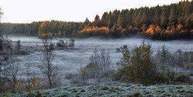 Arka planda kahverengi bulutsuz gökyüzü olan sisli bir tarlanın manzarası.
