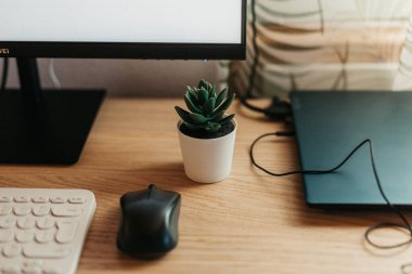 Dizüstü bilgisayarı, klavye masa başı işi ve Echeveria bitkisi olan bir ofis tasarımı