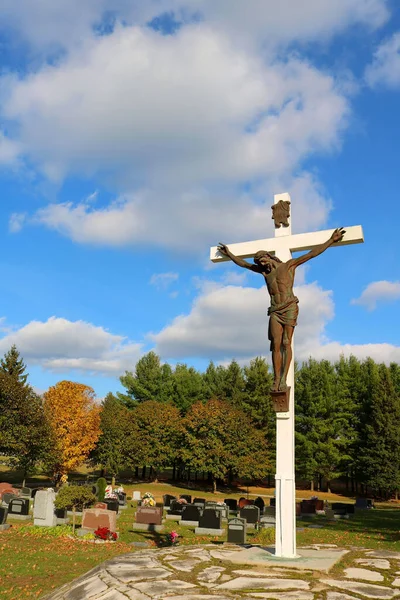 Plan Vertical Une Statue Jésus Christ Sur Croix Dans Cimetière — Photo