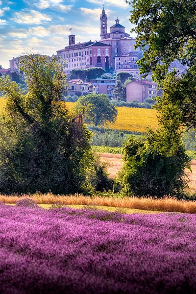 Eine Nahaufnahme Von Lavendelfeldern Und Einer Gemeinde Italien — Stockfoto