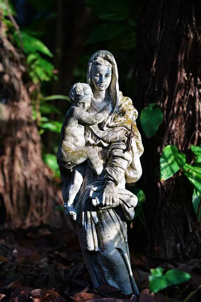 Colpo Verticale Una Statua Madonna Natura — Foto Stock