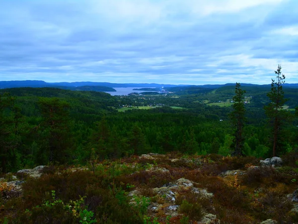Een Landschapsbeeld Van Beboste Gebieden Een Watermassa Gezien Achtergrond Zweden — Stockfoto
