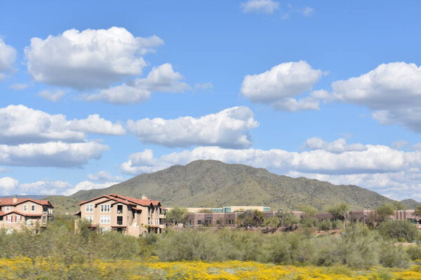 A photo of homes among desert landscape with Daisy Mountain and clouds in the background Arizona USA