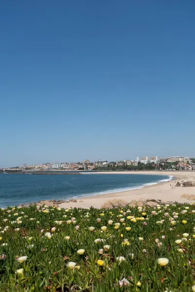 ポルトガル ヨーロッパのビーチの垂直ショット — ストック写真