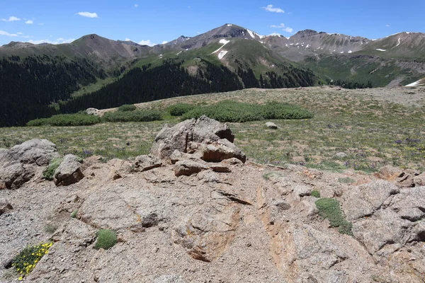 Paesaggio Panoramico Montagne Vicino Continental Divide Colorado Usa — Foto Stock
