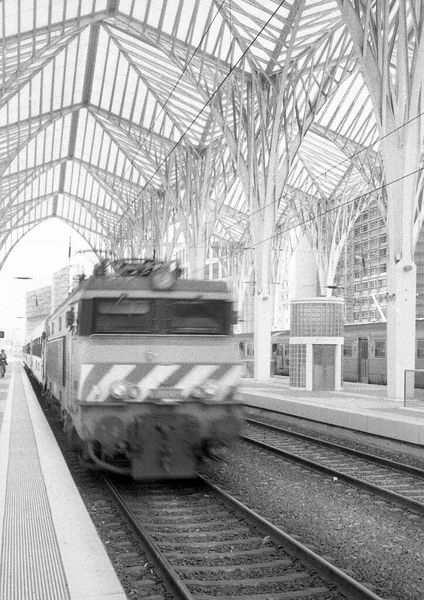 Escala Cinza Comboio Estação Gare Oriente Lisboa Portugal — Fotografia de Stock
