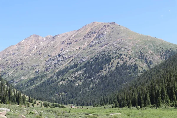 Uma Paisagem Montanhas Uma Floresta Coníferas Perto Divisão Continental Colorado — Fotografia de Stock
